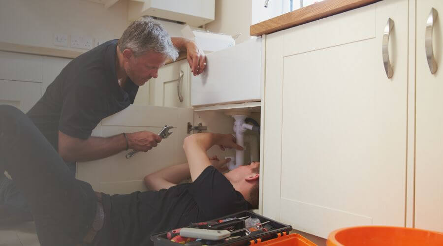 Professional Water Damage Mitigation services in Sainte Marie, IL